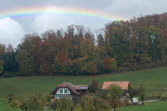 Gesamt Herbst Bällenbeunden 1581.jpg
